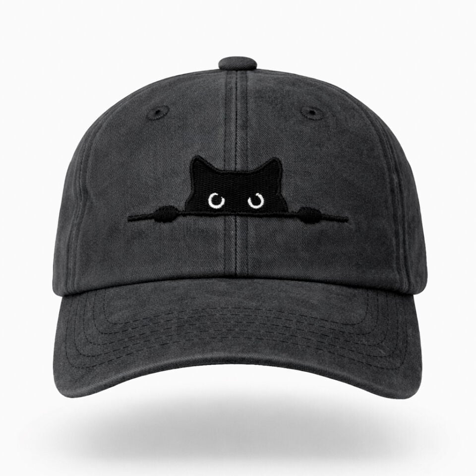 Meraklı Kedi