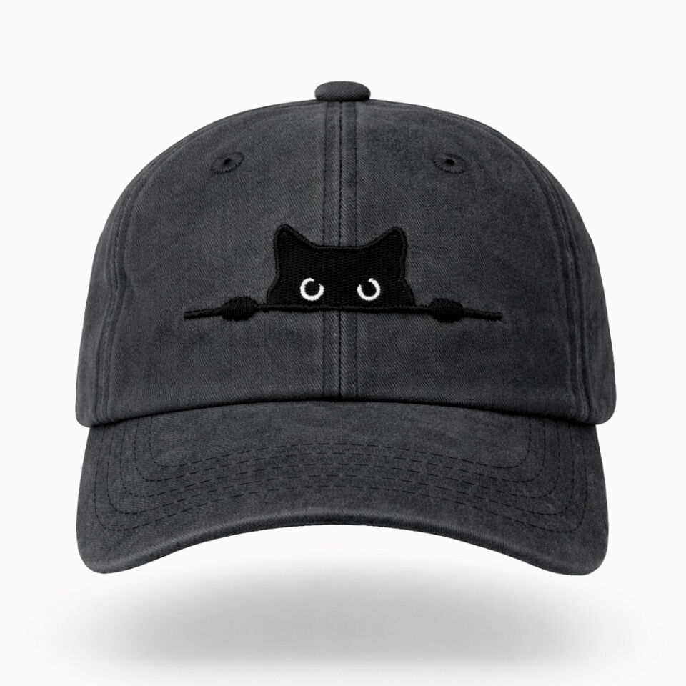 Meraklı Kedi