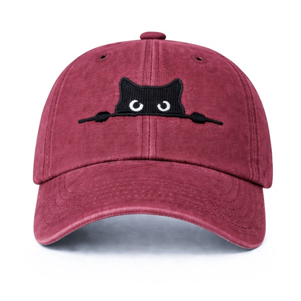 Meraklı Kedi